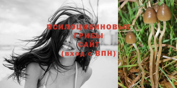 ПСИЛОЦИБИНОВЫЕ ГРИБЫ Сосновоборск