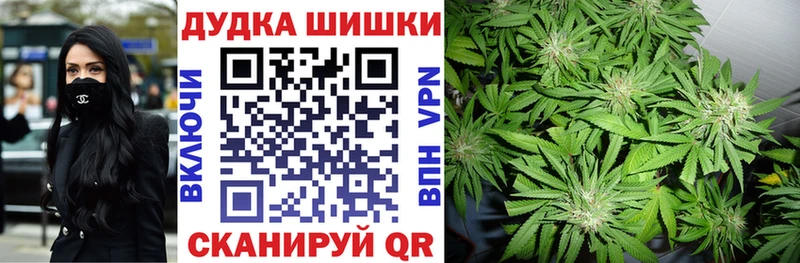 Конопля OG Kush  Белокуриха 
